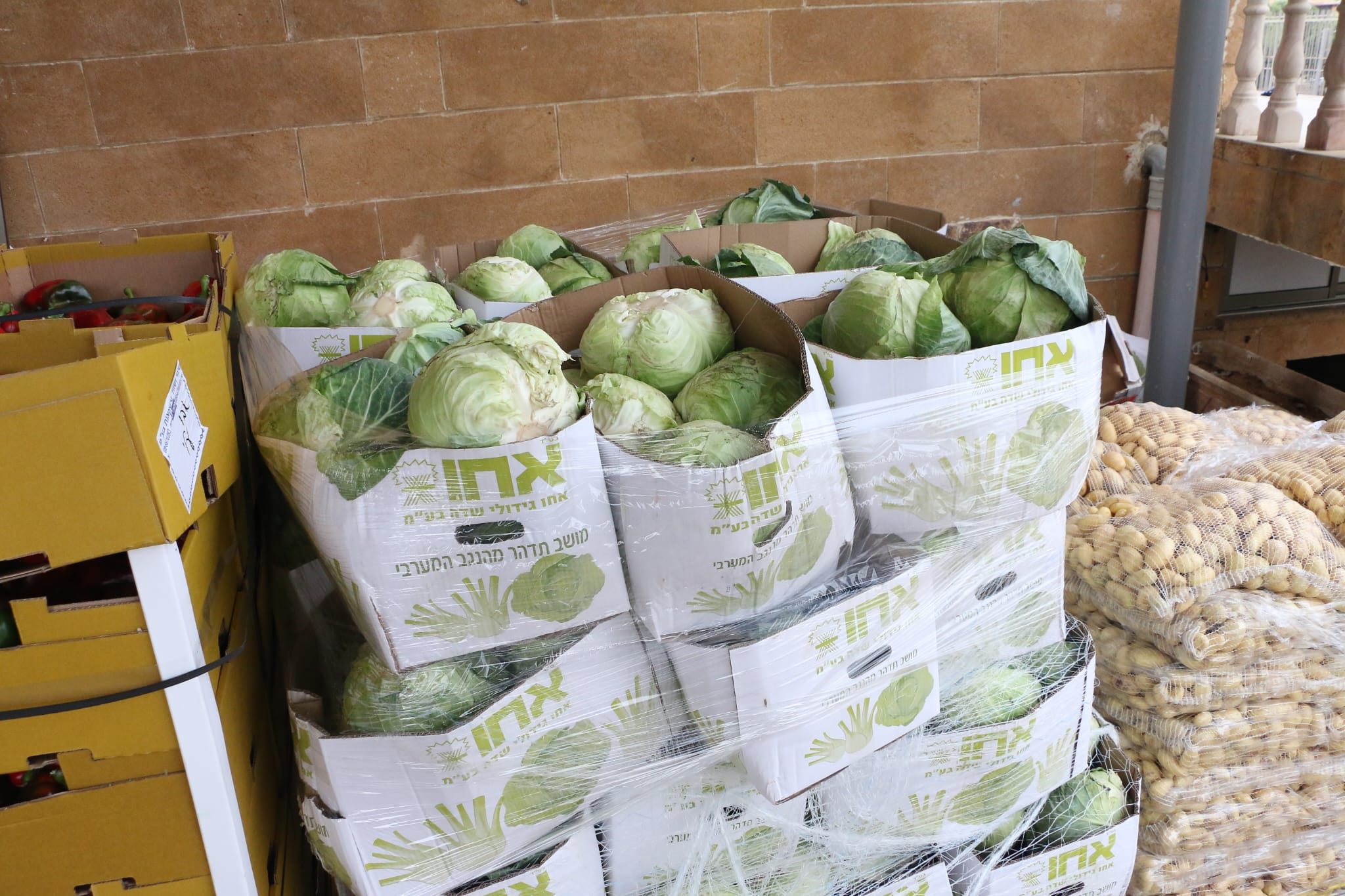 WhatsApp Image 2023-04-11 at 8.33.00 AM (2).jpeg